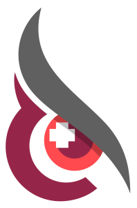 pracwise icon shadow