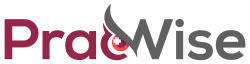 pracwise logo shadow